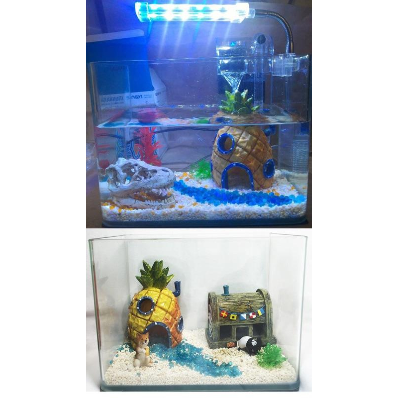 超取包損 迷你水族箱 魚缸 辦公室 水族箱 造景 水草 生長燈 LED 海綿寶寶 鳳梨屋 海盜船 風水 開運 招財-細節圖7