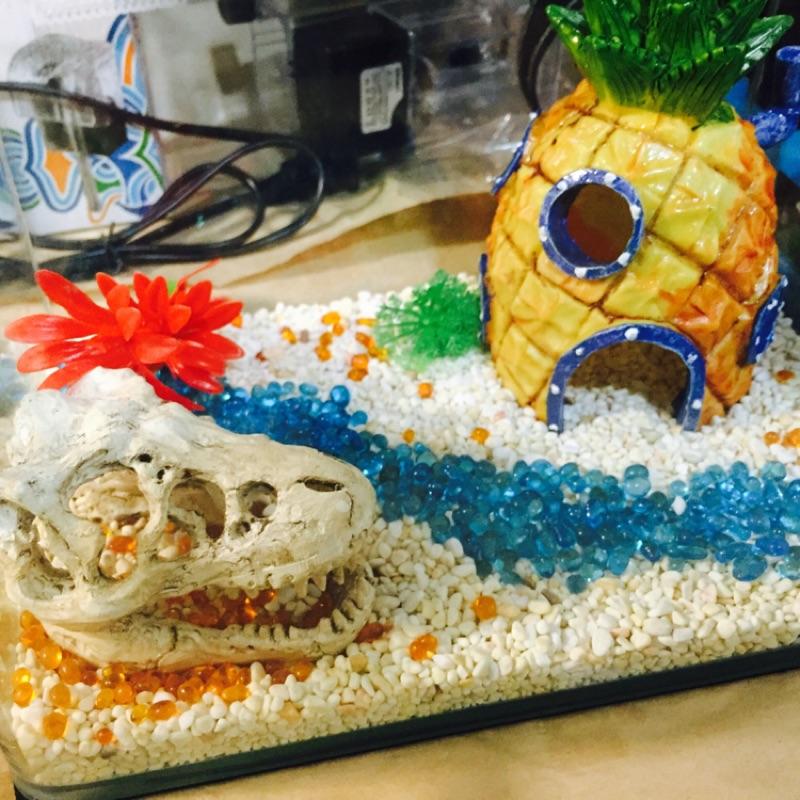 ⭐️療癒系魚缸造景⭐️ 水族箱 魚缸 海綿寶寶 造景 鳳梨屋 海盜船 城堡 倉鼠 風水 轉運 招財 水草 生長燈 LED-細節圖2