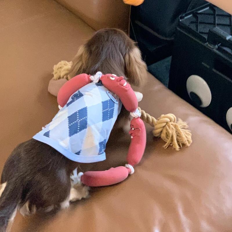 台灣現貨 臘腸狗 寵物狗狗三節香腸玩具臘腸狗法鬥柴犬柯基耐咬磨牙潔齒搞笑玩具-細節圖3