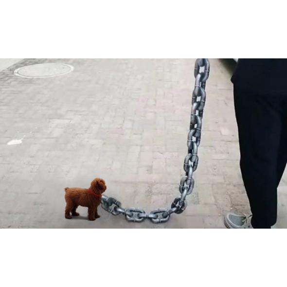 台灣現貨 仿真鐵鍊 項圈 仿真惡犬鐵鍊牽繩 小型犬專用 寵物牽繩 金屬牽繩 寵物用品 貓咪專用 犬貓 毛小孩 整人 道具-細節圖3