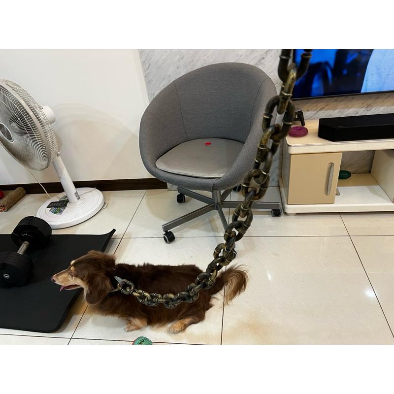 台灣現貨 仿真鐵鍊 項圈 仿真惡犬鐵鍊牽繩 小型犬專用 寵物牽繩 金屬牽繩 寵物用品 貓咪專用 犬貓 毛小孩 整人 道具-細節圖7