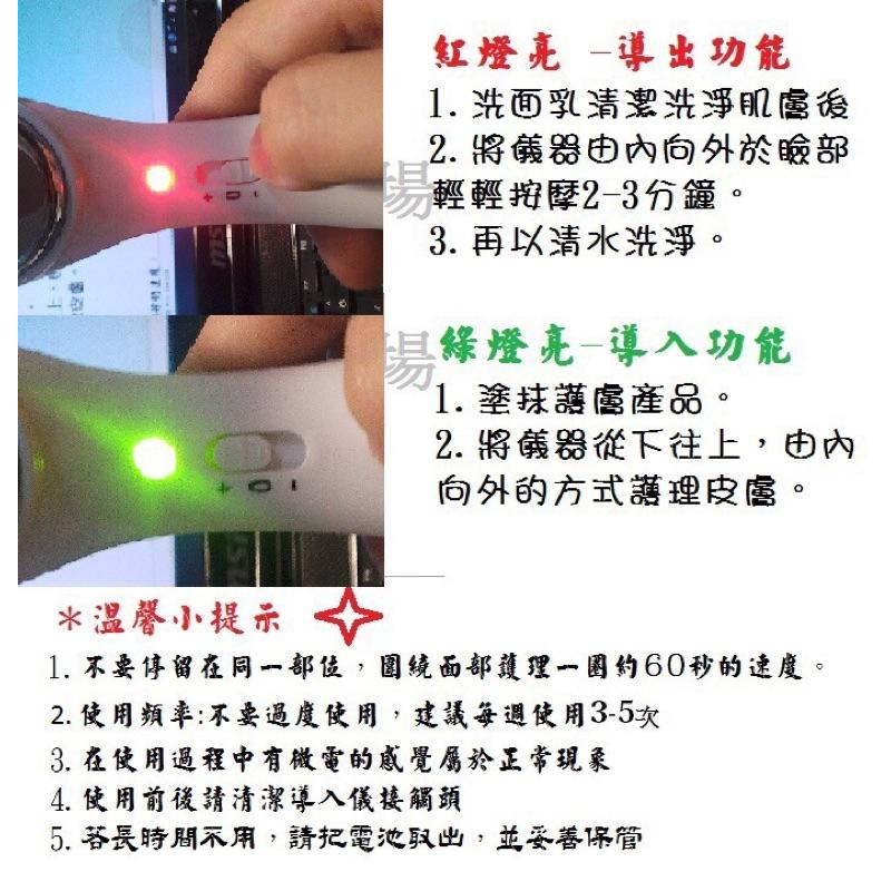 現貨 導入儀 洗臉機 離子 美容 導入 導出 電動洗臉機-細節圖4