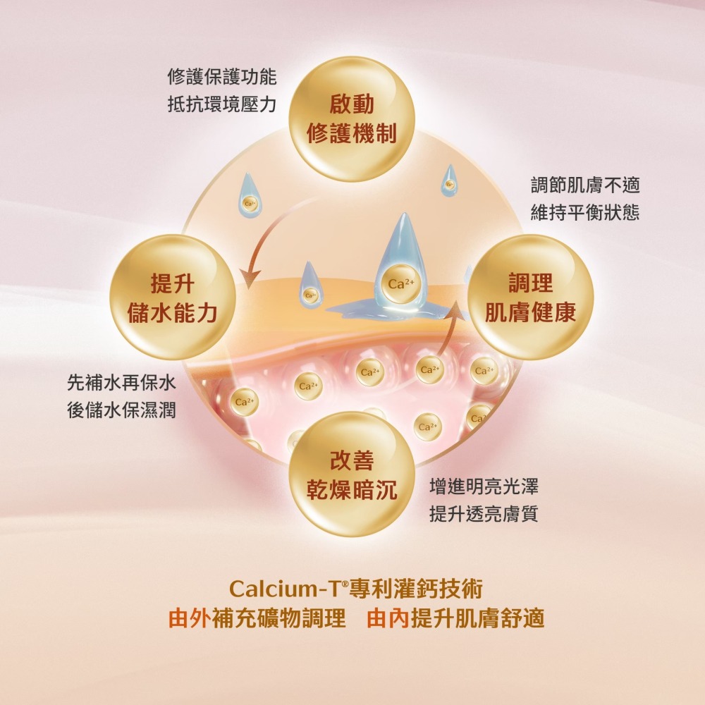 【SISSECLO靚源植戀】鈣離子修護保濕精華液 50ml 化妝水 修護 保濕 舒緩 好吸收-細節圖5