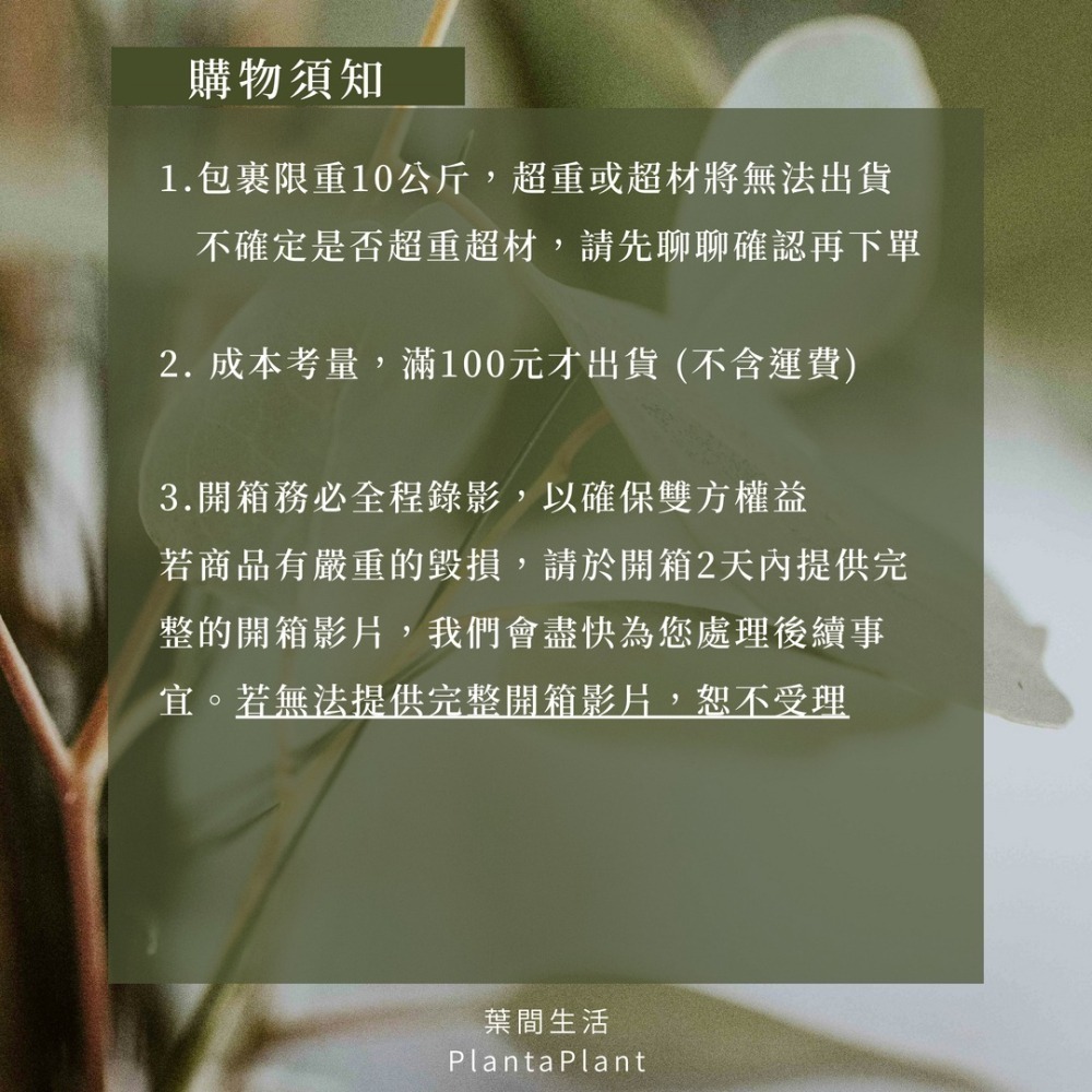 泥炭土 多肉土 鋪面石 玄武岩石 樹皮 發泡煉石 椰塊 陶粒 碳化稻穀 蛭石 珍珠石 盆栽 爬蟲墊材 蘭花介質-細節圖8