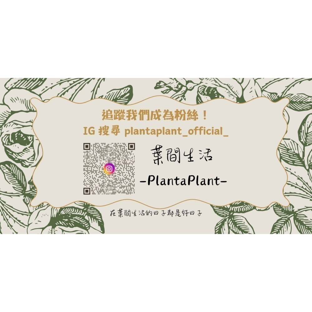 泥炭土 多肉土 鋪面石 玄武岩石 樹皮 發泡煉石 椰塊 陶粒 碳化稻穀 蛭石 珍珠石 盆栽 爬蟲墊材 蘭花介質-細節圖9