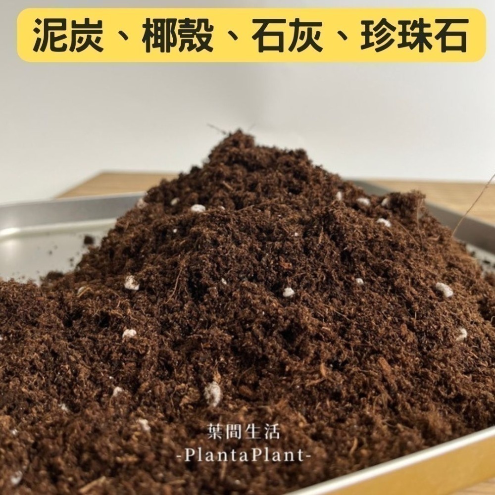 泥炭土 多肉土 鋪面石 玄武岩石 樹皮 發泡煉石 椰塊 陶粒 碳化稻穀 蛭石 珍珠石 盆栽 爬蟲墊材 蘭花介質-規格圖11