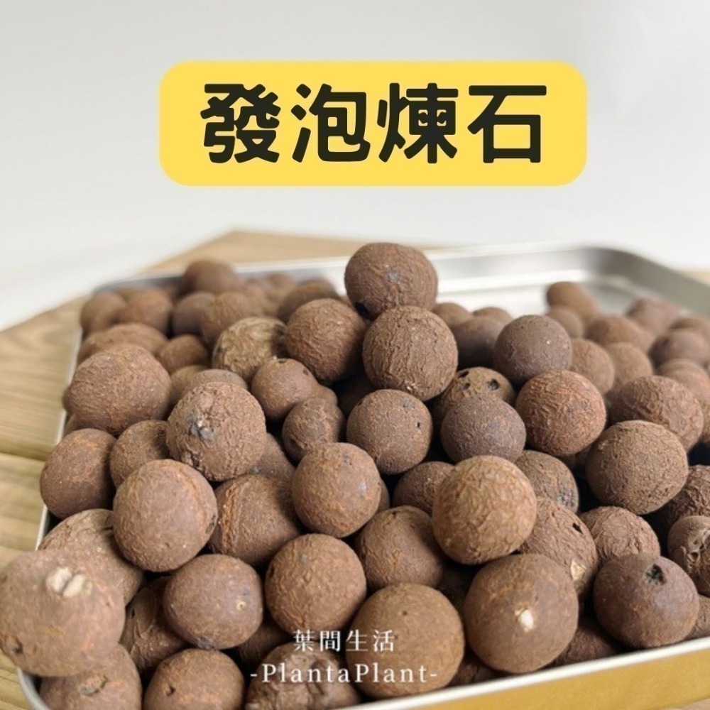 多肉土 樹皮 發泡煉石 椰塊 陶粒 蛭石 珍珠石 盆栽介質 爬蟲墊材 蘭花介質-規格圖11
