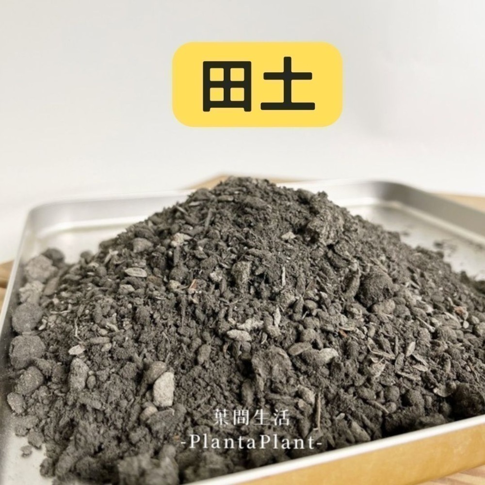 泥炭土 多肉土 鋪面石 玄武岩石 樹皮 發泡煉石 椰塊 陶粒 碳化稻穀 蛭石 珍珠石 盆栽 爬蟲墊材 蘭花介質-規格圖11