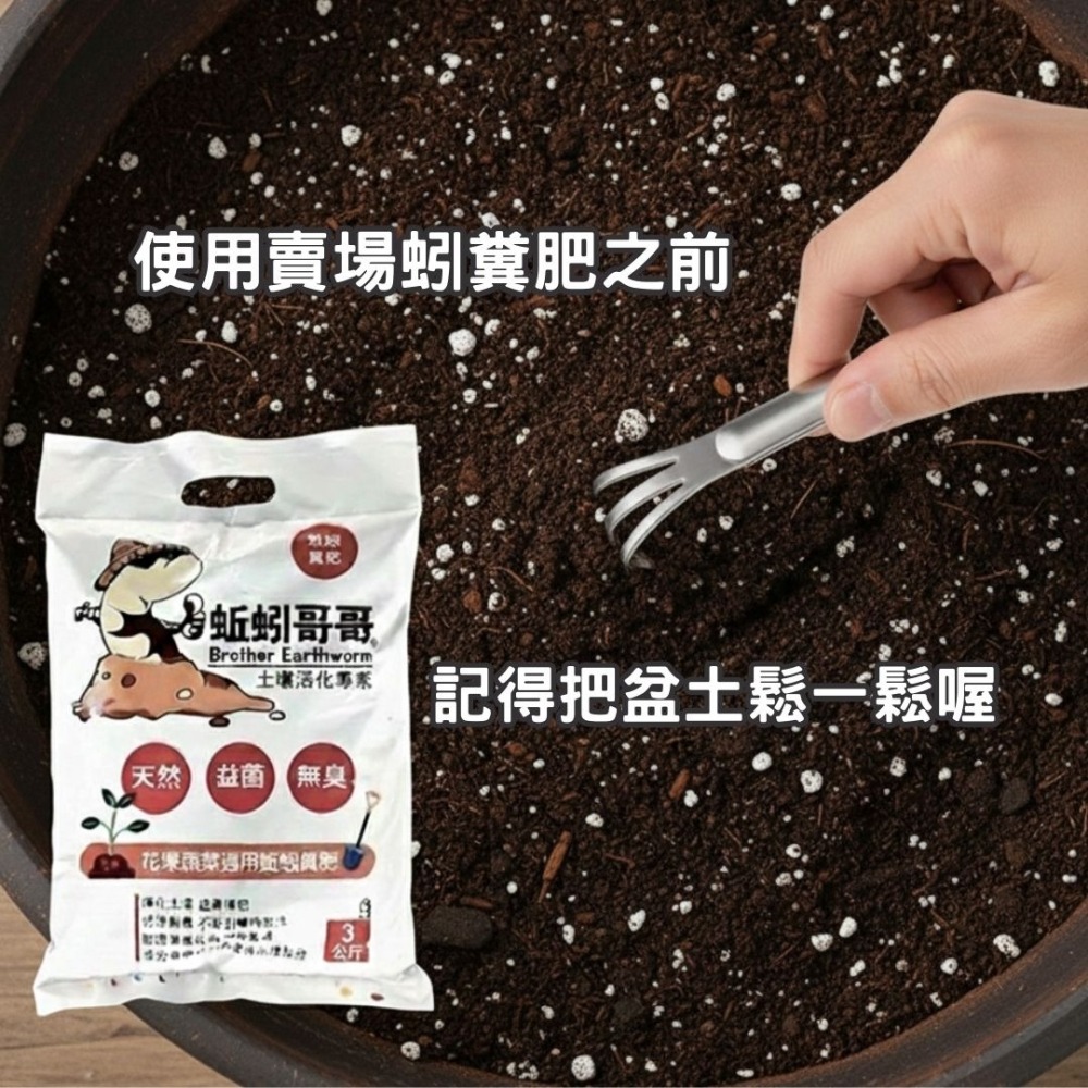 盆景耙子 盆景耙 園藝耙子 園藝工具 不鏽鋼園藝工具 鬆土壓土 盆景工具 厚實耐用 換盆工具 梳理根系 耙子-細節圖10