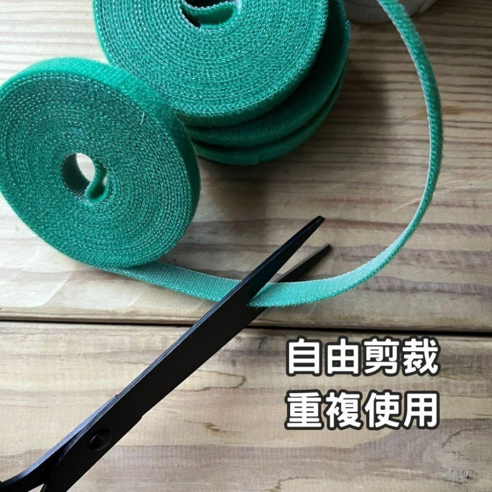 植物束帶 魔鬼氈 植物綁帶 束帶 綁帶 觀葉植物 植物固定 盆栽 園藝綁帶 園藝魔帶 園藝器具 園藝必備工具-細節圖2