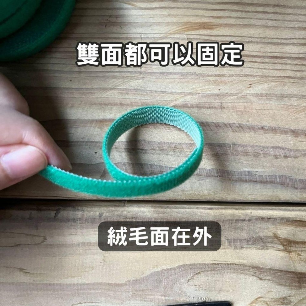 植物束帶 魔鬼氈 植物綁帶 束帶 綁帶 觀葉植物 植物固定 盆栽 園藝綁帶 園藝魔帶 園藝器具 園藝必備工具-細節圖3