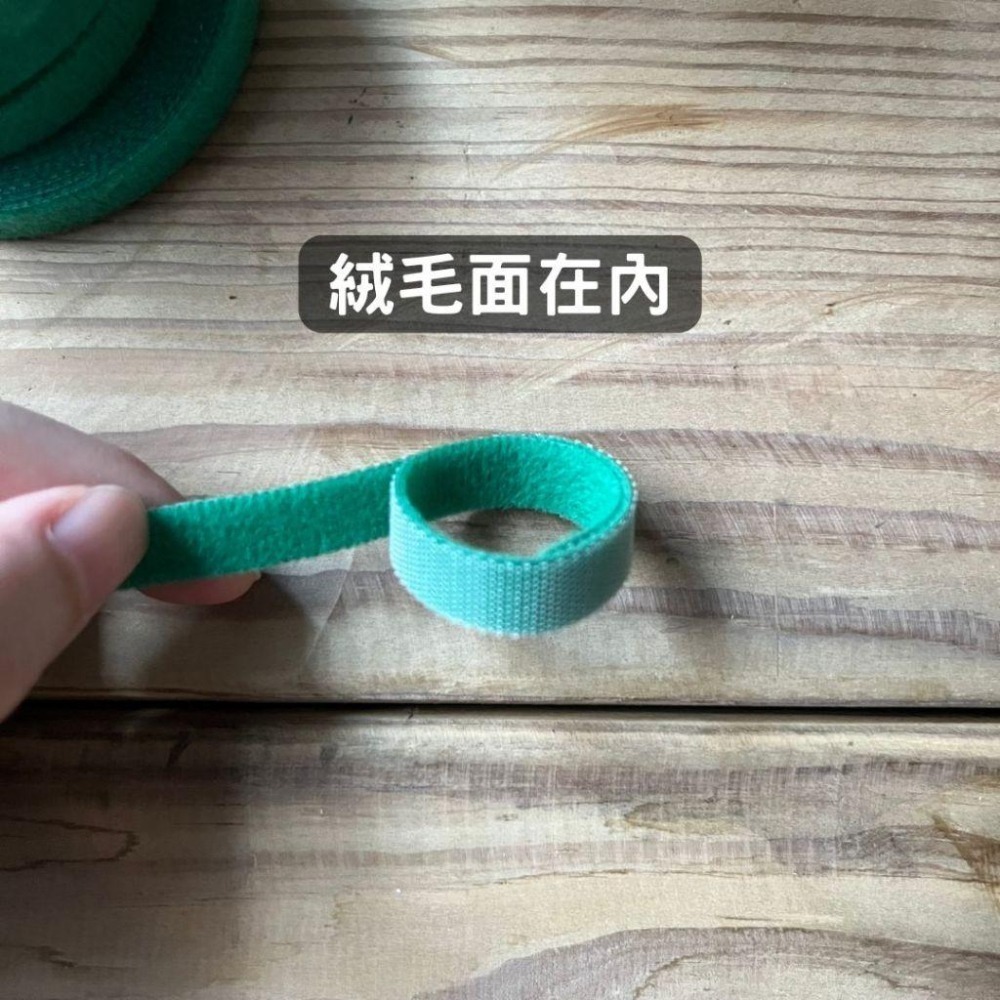 植物束帶 魔鬼氈 植物綁帶 束帶 綁帶 觀葉植物 植物固定 盆栽 園藝綁帶 園藝魔帶 園藝器具 園藝必備工具-細節圖4