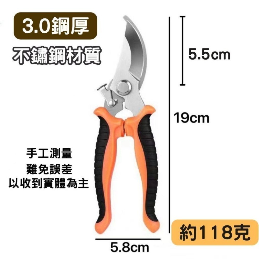 園藝剪刀 修枝剪 粗枝剪 剪刀 樹枝剪 果樹剪 園林剪 花木剪刀 不鏽鋼剪刀 園藝工具 盆栽-細節圖2
