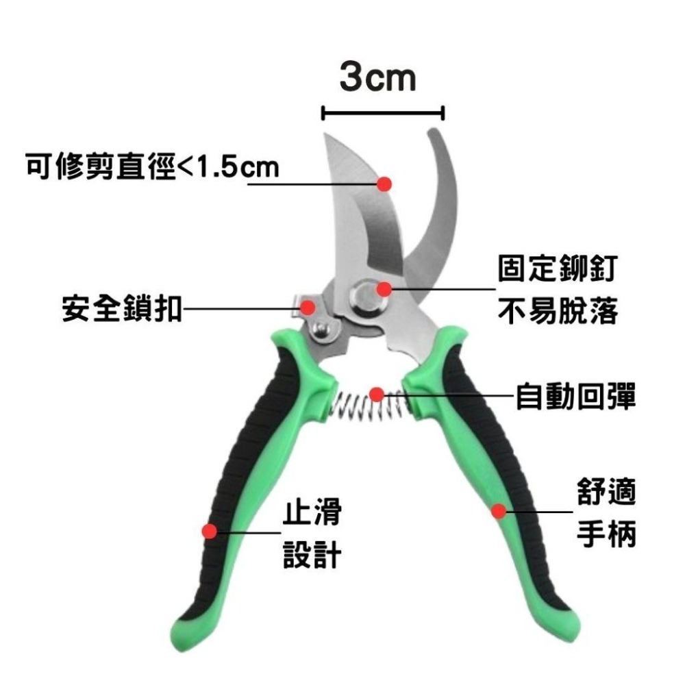 園藝剪刀 修枝剪 粗枝剪 剪刀 樹枝剪 果樹剪 園林剪 花木剪刀 不鏽鋼剪刀 園藝工具 盆栽-細節圖3