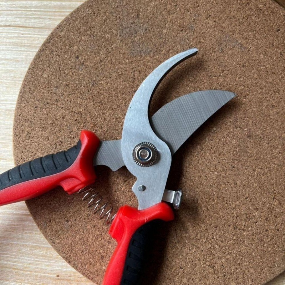 園藝剪刀 修枝剪 粗枝剪 剪刀 樹枝剪 果樹剪 園林剪 花木剪刀 不鏽鋼剪刀 園藝工具 盆栽-細節圖4