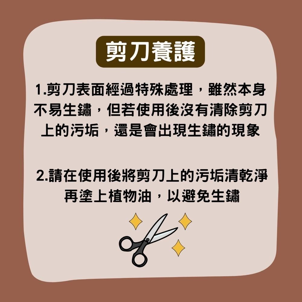 園藝剪刀 修枝剪 粗枝剪 剪刀 樹枝剪 果樹剪 園林剪 花木剪刀 不鏽鋼剪刀 園藝工具 盆栽-細節圖6