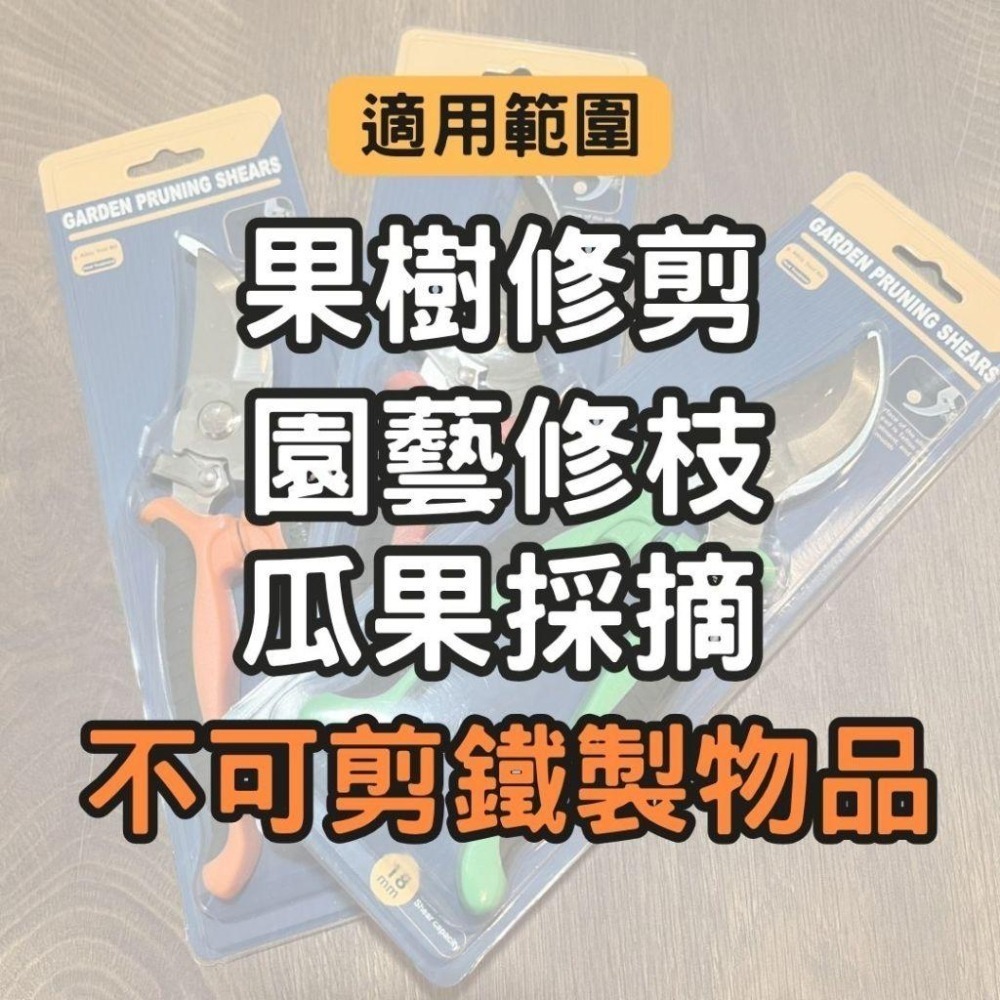 園藝剪刀 修枝剪 粗枝剪 剪刀 樹枝剪 果樹剪 園林剪 花木剪刀 不鏽鋼剪刀 園藝工具 盆栽-細節圖7
