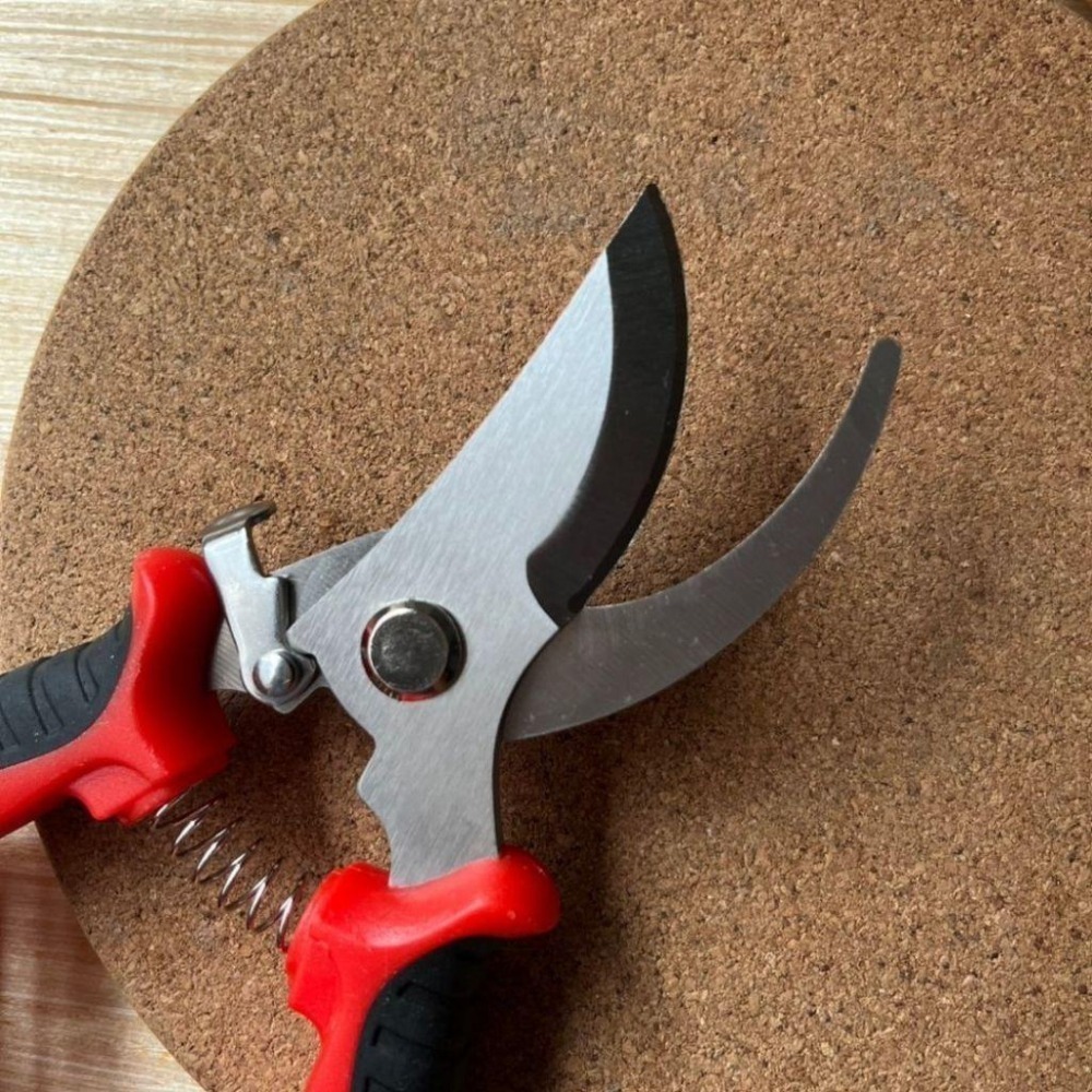 園藝剪刀 修枝剪 粗枝剪 剪刀 樹枝剪 果樹剪 園林剪 花木剪刀 不鏽鋼剪刀 園藝工具 盆栽-細節圖9