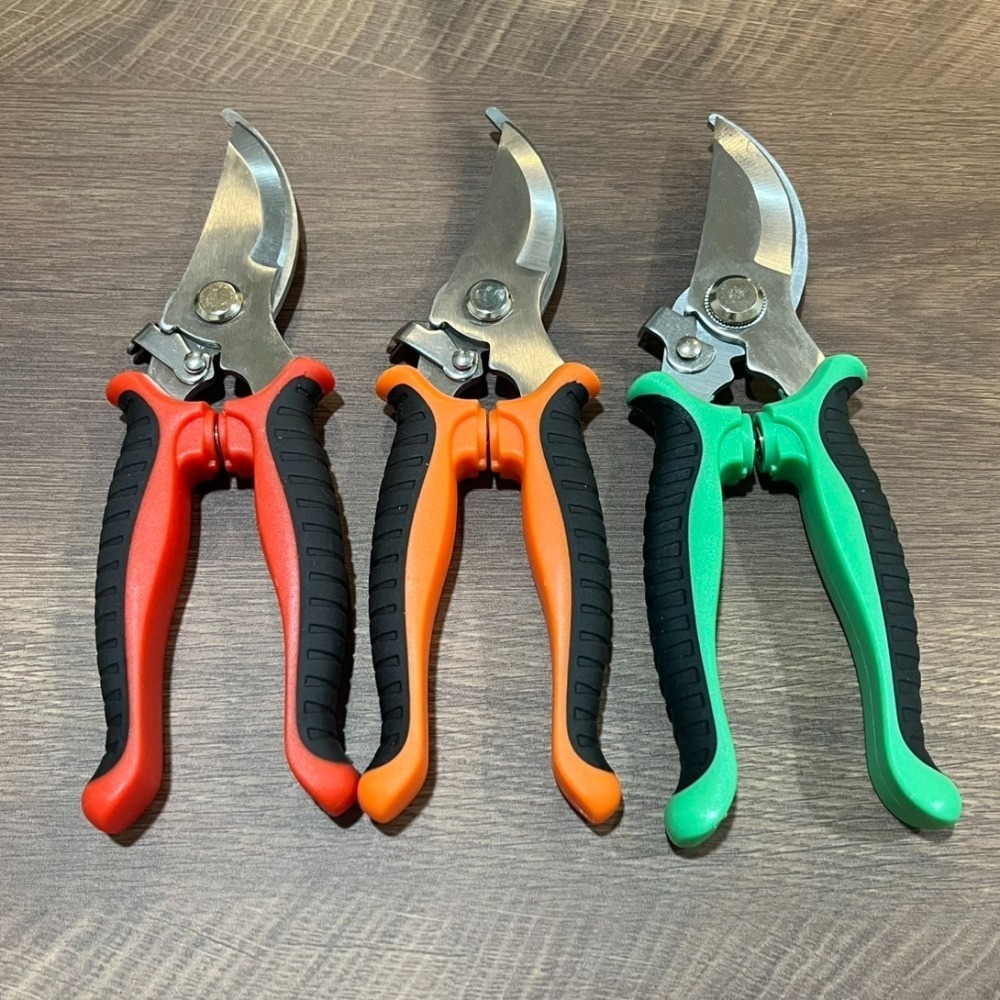 園藝剪刀 修枝剪 粗枝剪 剪刀 樹枝剪 果樹剪 園林剪 花木剪刀 不鏽鋼剪刀 園藝工具 盆栽-細節圖10