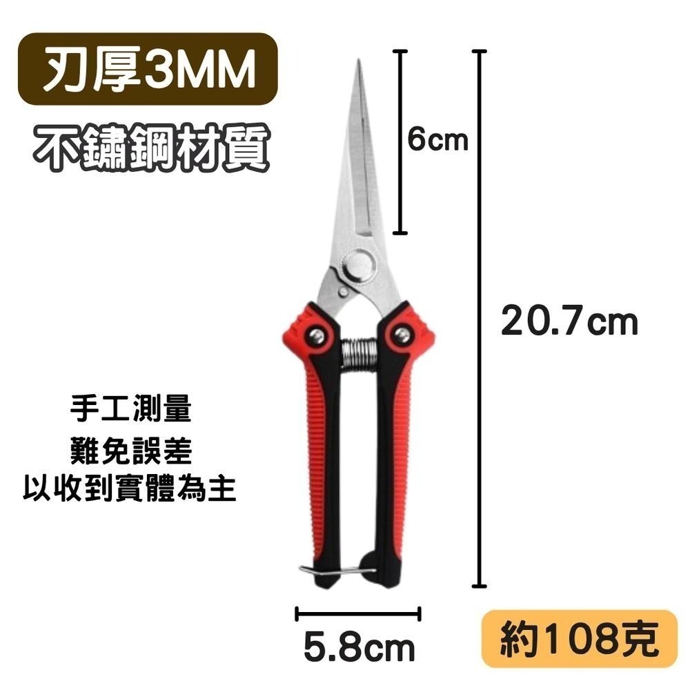 園藝剪刀 修枝剪 修枝 花剪 剪刀 樹枝剪 果樹剪 園林剪 花枝剪 修剪工具 不鏽鋼剪刀 園藝工具-細節圖2
