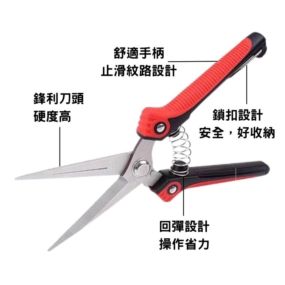 園藝剪刀 修枝剪 修枝 花剪 剪刀 樹枝剪 果樹剪 園林剪 花枝剪 修剪工具 不鏽鋼剪刀 園藝工具-細節圖3
