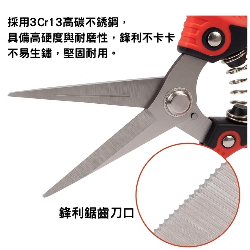 園藝剪刀 修枝剪 修枝 花剪 剪刀 樹枝剪 果樹剪 園林剪 花枝剪 修剪工具 不鏽鋼剪刀 園藝工具-細節圖4