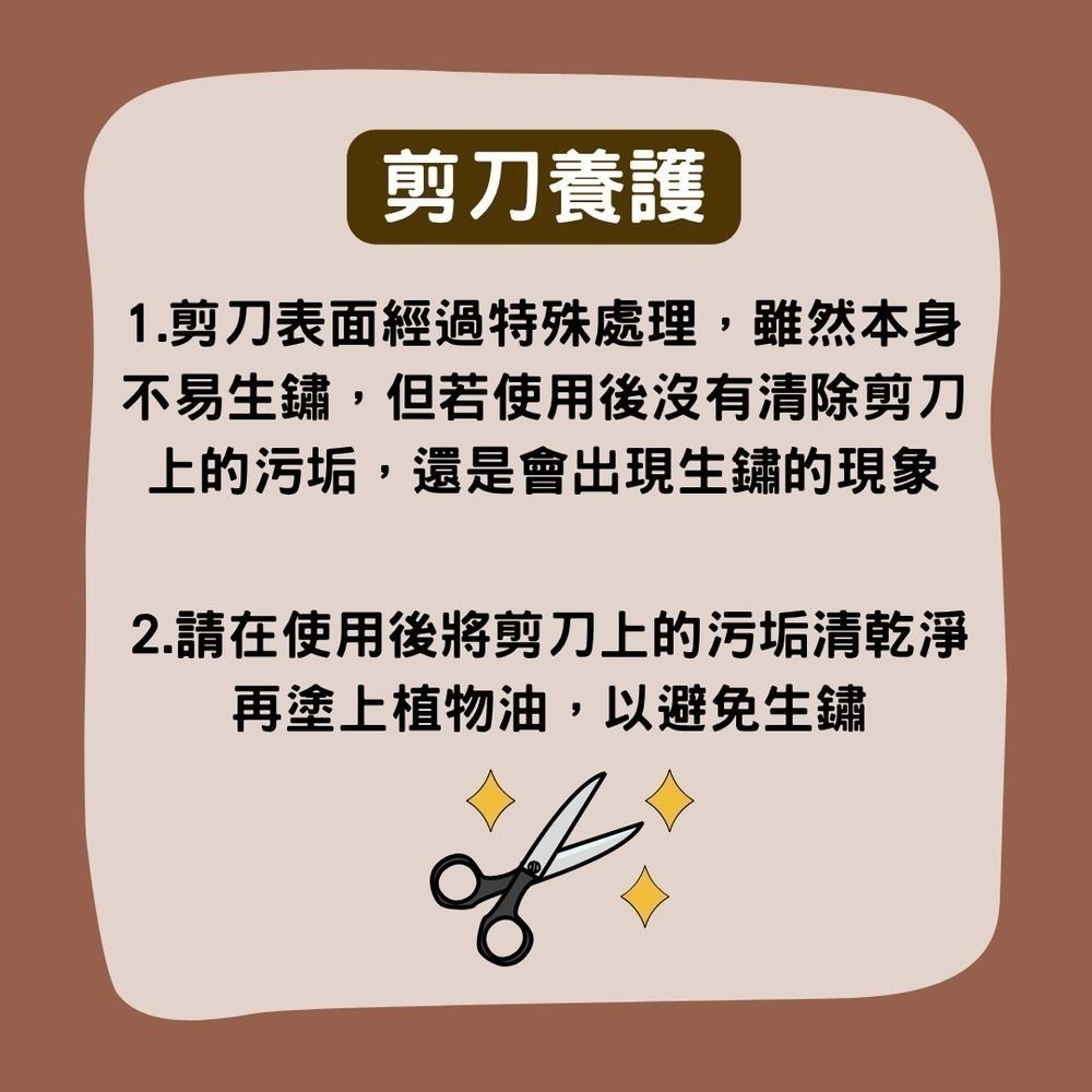 園藝剪刀 修枝剪 修枝 花剪 剪刀 樹枝剪 果樹剪 園林剪 花枝剪 修剪工具 不鏽鋼剪刀 園藝工具-細節圖6