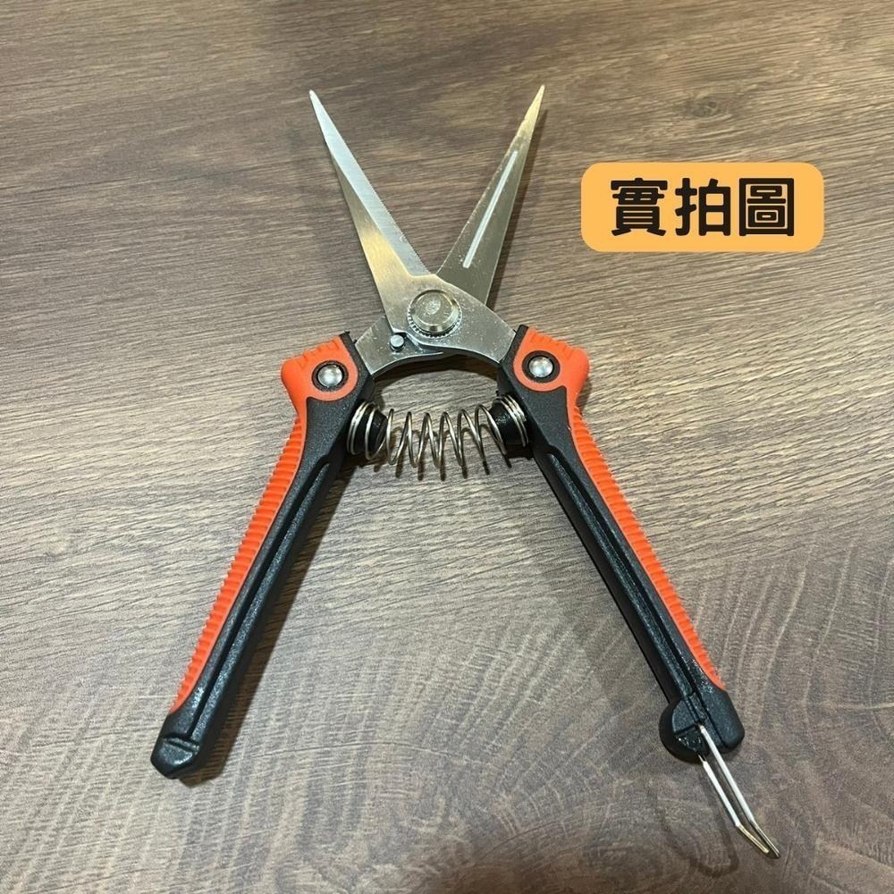 園藝剪刀 修枝剪 修枝 花剪 剪刀 樹枝剪 果樹剪 園林剪 花枝剪 修剪工具 不鏽鋼剪刀 園藝工具-細節圖8