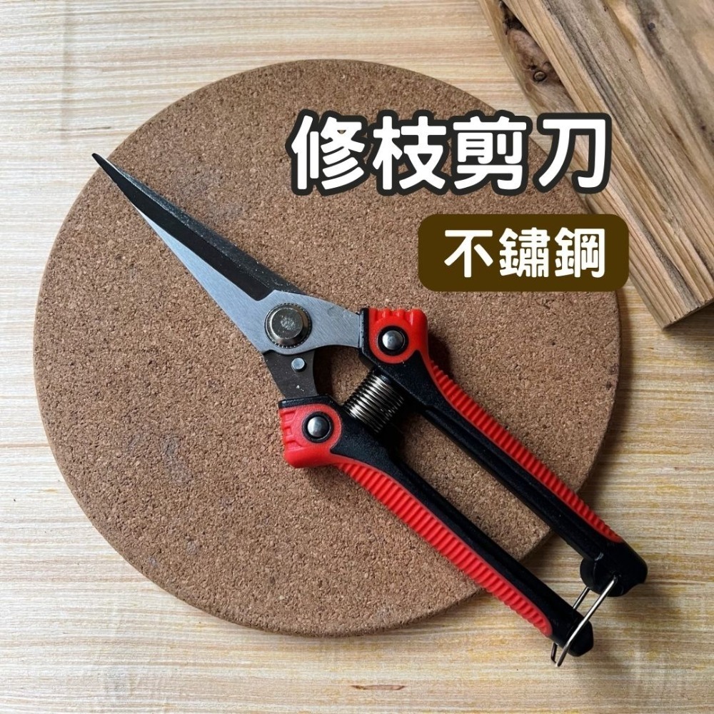 園藝剪刀 修枝剪 修枝 花剪 剪刀 樹枝剪 果樹剪 園林剪 花枝剪 修剪工具 不鏽鋼剪刀 園藝工具-規格圖10