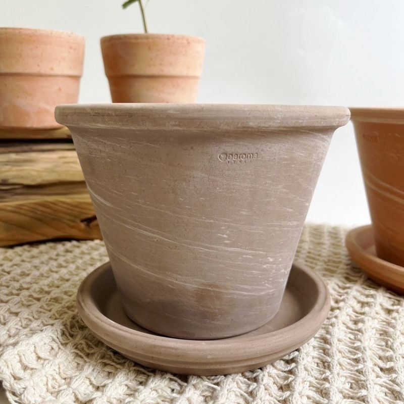 陶盆 帝羅馬陶盆 義大利經典陶盆 Deroma 花盆 盆器 花器 白陶紋理 可可摩卡 迷你西恩納 盆栽底盤 盆底有排水孔-細節圖2