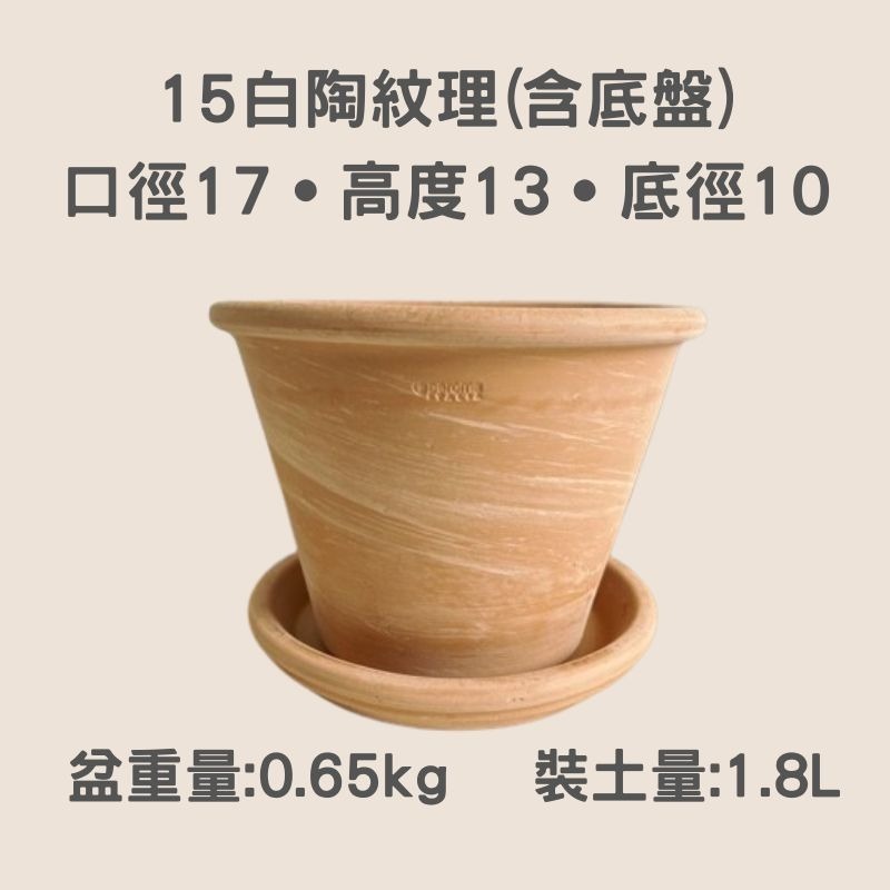 17cm 白陶紋理+底盤