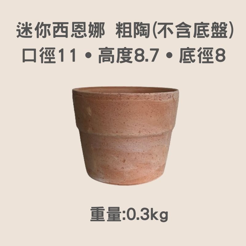 陶盆 帝羅馬陶盆 義大利經典陶盆 Deroma 花盆 盆器 花器 白陶紋理 可可摩卡 迷你西恩納 盆栽底盤 盆底有排水孔-規格圖11