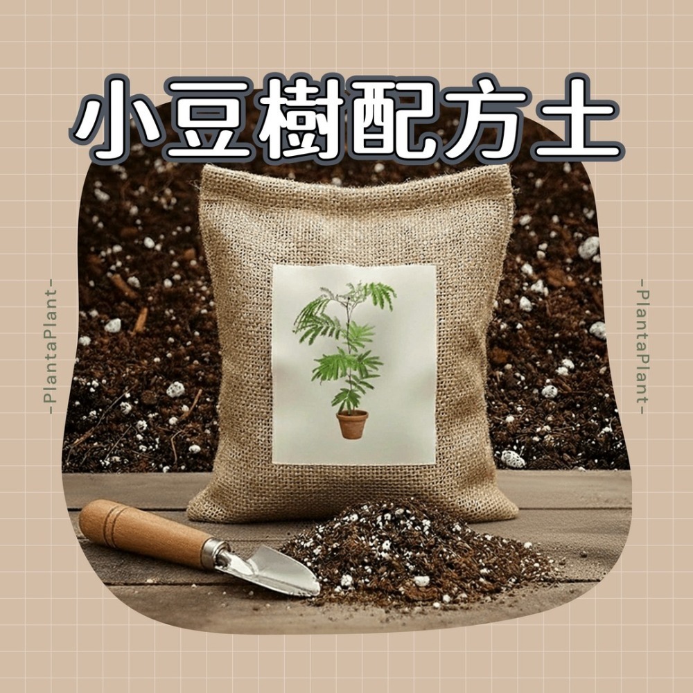 盆底網 花盆底網 防漏土網片 盆栽底網 花盆網片 擋土網 有效防止土壤流失 一包5片 10cm*10cm手工裁切略有誤差-細節圖11