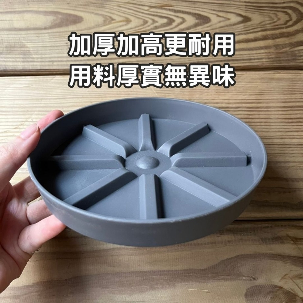 透氣水盤 花盆底盤 水盤 塑膠水盤 底盤 花盆托盤 接水盤 盆栽底盤 花盆底座 增高水盤 墊高水盤 花盆托高 簡約色系-細節圖2