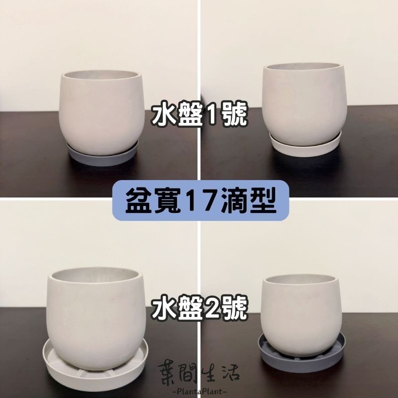 透氣水盤 花盆底盤 水盤 塑膠水盤 底盤 花盆托盤 接水盤 盆栽底盤 花盆底座 增高水盤 墊高水盤 花盆托高 簡約色系-細節圖10