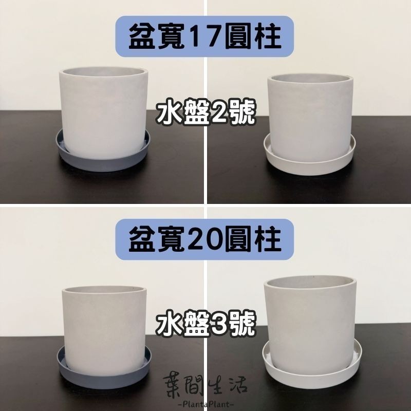 透氣水盤 花盆底盤 水盤 塑膠水盤 底盤 花盆托盤 接水盤 盆栽底盤 花盆底座 增高水盤 墊高水盤 花盆托高 簡約色系-細節圖11