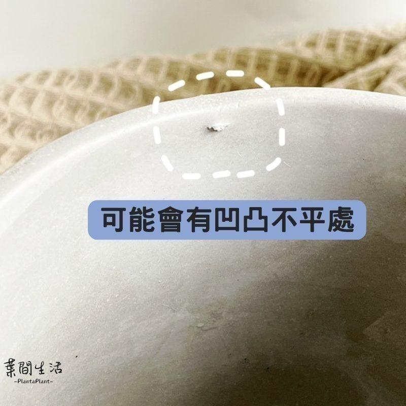 水泥盆 滴型水泥盆 水泥盆栽 經典款 花器 花盆 盆器 多肉盆 簡約盆 北歐風盆器 盆栽 植栽 底部有打孔-細節圖3