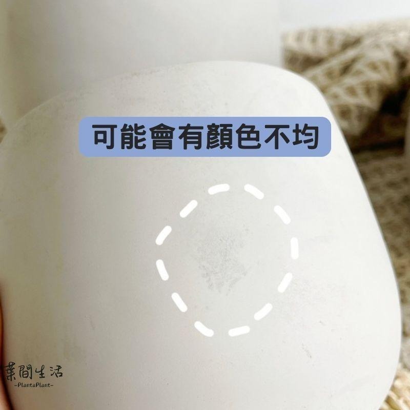 水泥盆 滴型水泥盆 水泥盆栽 經典款 花器 花盆 盆器 多肉盆 簡約盆 北歐風盆器 盆栽 植栽 底部有打孔-細節圖4