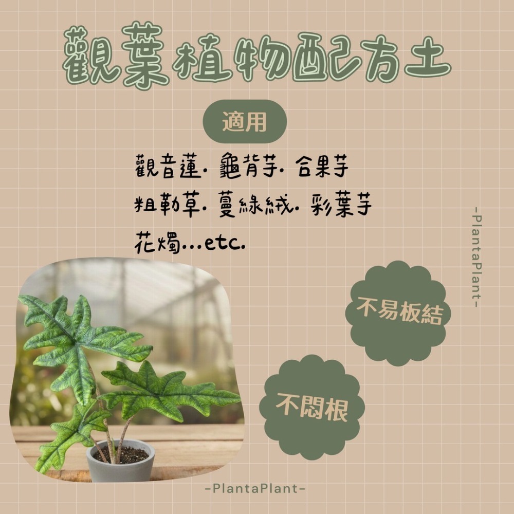 【懶人首選】觀葉植物配方土 介質 泥炭土 龜背芋 蔓綠絨 觀音蓮 專用土 多肉 疏水透氣 營養土 園藝介質 觀葉配方土-細節圖2