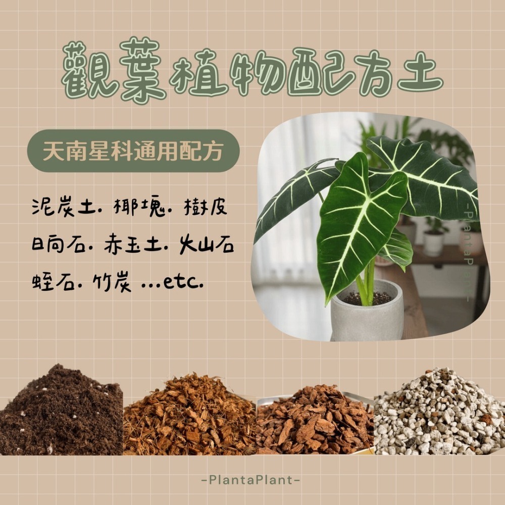 【懶人首選】觀葉植物配方土 介質 泥炭土 龜背芋 蔓綠絨 觀音蓮 專用土 多肉 疏水透氣 營養土 園藝介質 觀葉配方土-細節圖3
