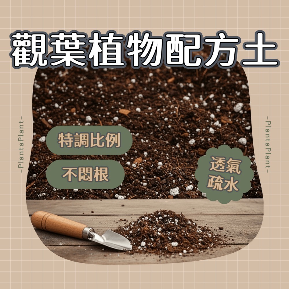 【懶人首選】觀葉植物配方土 介質 泥炭土 龜背芋 蔓綠絨 觀音蓮 專用土 多肉 疏水透氣 營養土 園藝介質 觀葉配方土-規格圖9
