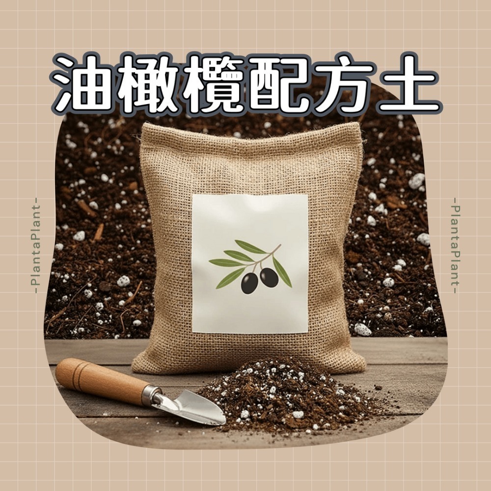 3公升(超商限6包)