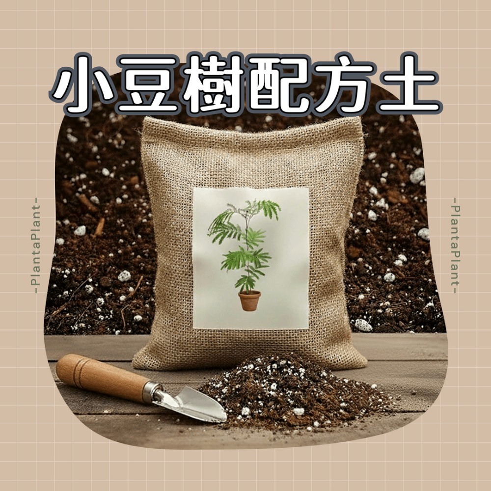【職人配方】小豆樹配方土 小豆樹專用土 密葉猴耳環 含羞樹 寵物友善 觀葉植物 泥炭土 室內植物 特調比例 3L-規格圖11