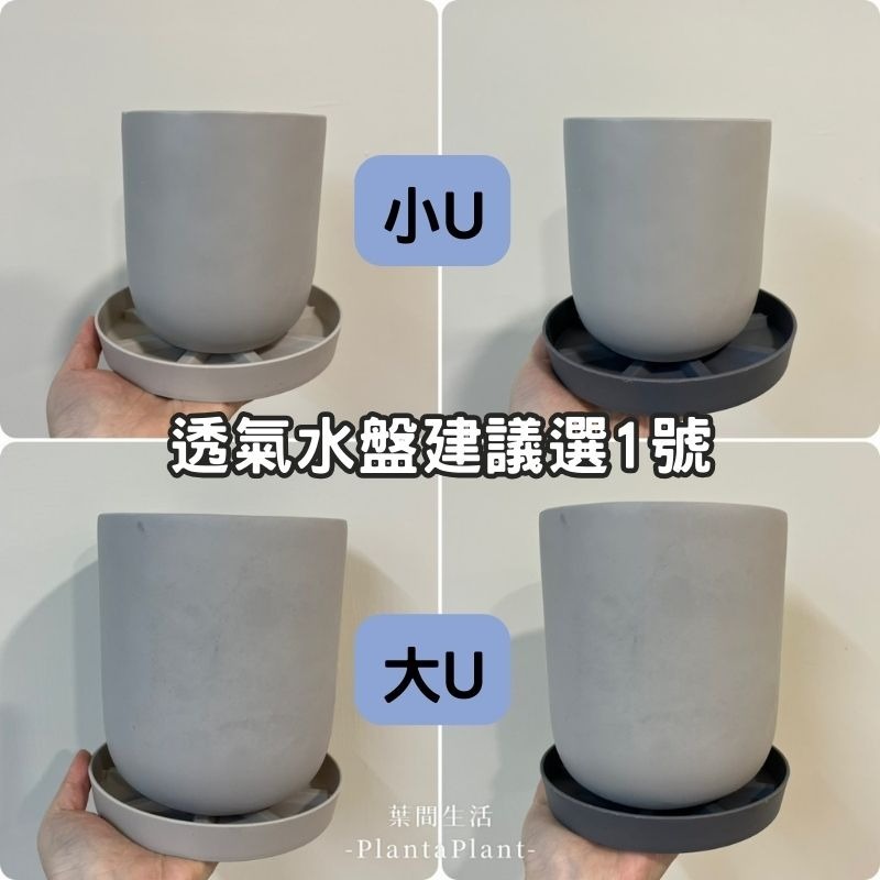 水泥盆 U型水泥盆 花盆 花器 經典款 簡約盆 北歐風盆器 水泥盆栽 觀葉植物 多肉盆 室內植物 盆栽 底部有打孔-細節圖5