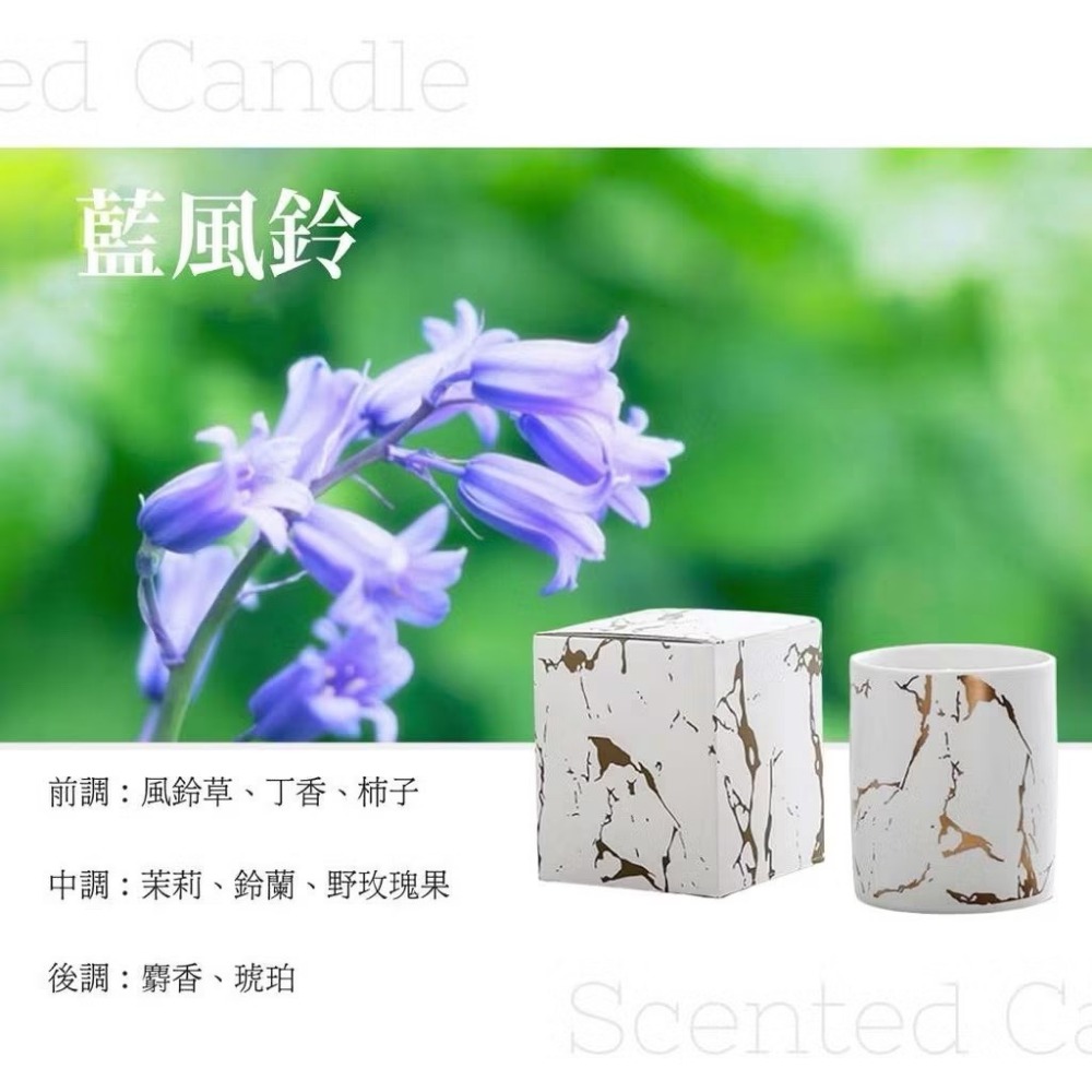 藍風鈴【白色燙金】