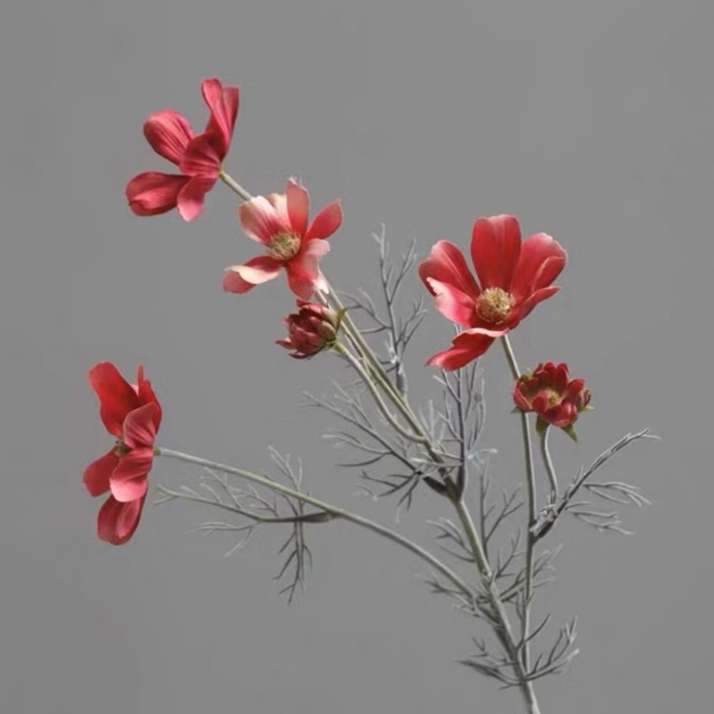 酒紅【韓系波斯菊仿真花】