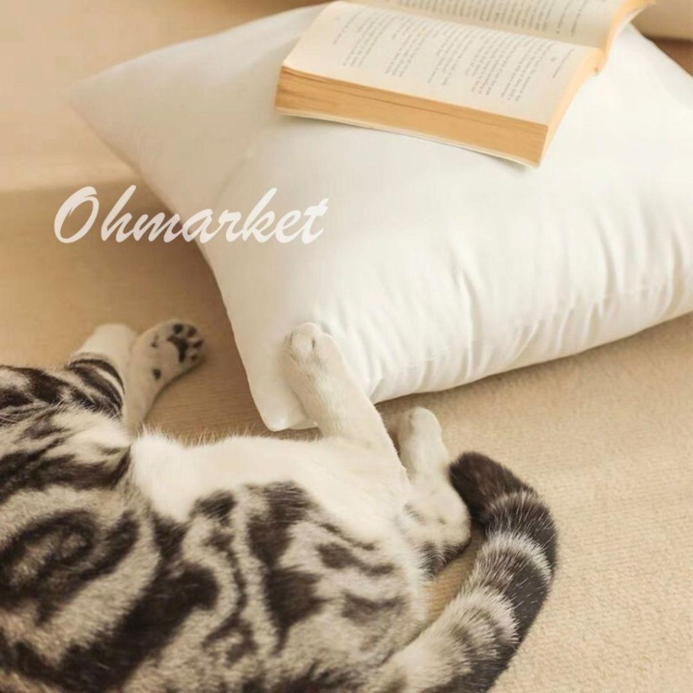 【生活市集】 磨毛高磅數枕芯 可拆洗枕心抱枕 抱枕枕芯 坐墊沙發抱枕造型抱枕北歐抱枕兩用沙發靠墊枕頭套-細節圖3