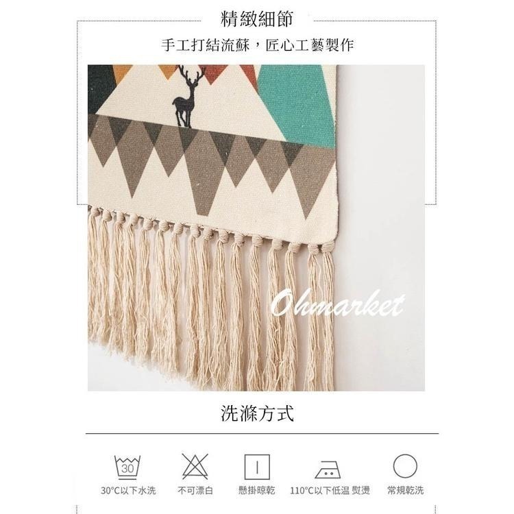 【生活市集】  莫蘭迪歐風流蘇掛毯 掛布 掛飾 掛毯 牆壁佈置 兒童房裝飾佈置背景布牆壁裝飾掛飾桌布露營-細節圖9