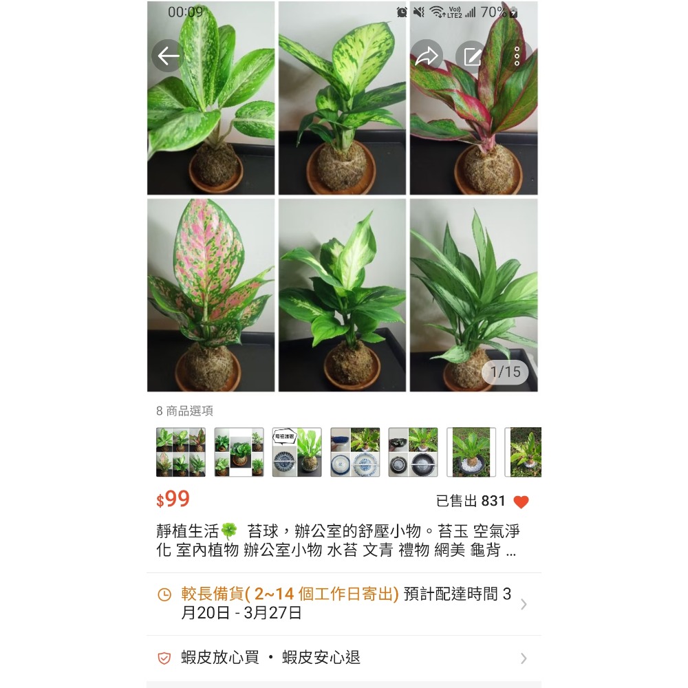 苔球 #室內植物 #禮物 #文青 #景觀 #辦公室小物 #空氣淨化 #空氣清淨 #綠色植物 #水苔 #風水擺設 #植栽-細節圖6