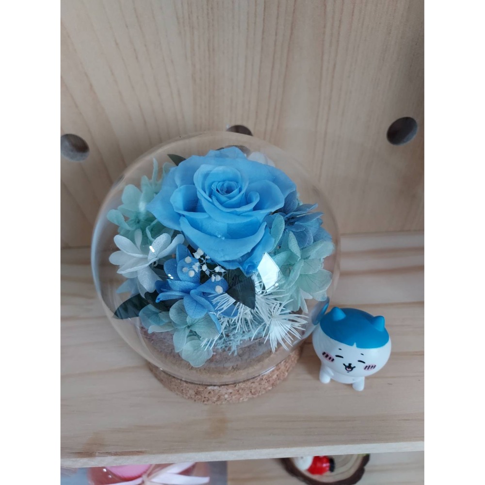 🌺花草遊戲🌺七夕禮物🎁 永生玫瑰花小夜燈 🌹 生日禮物 乾燥花 永生花玻璃罩 🌻水晶球 情人節 母親節禮物-規格圖4